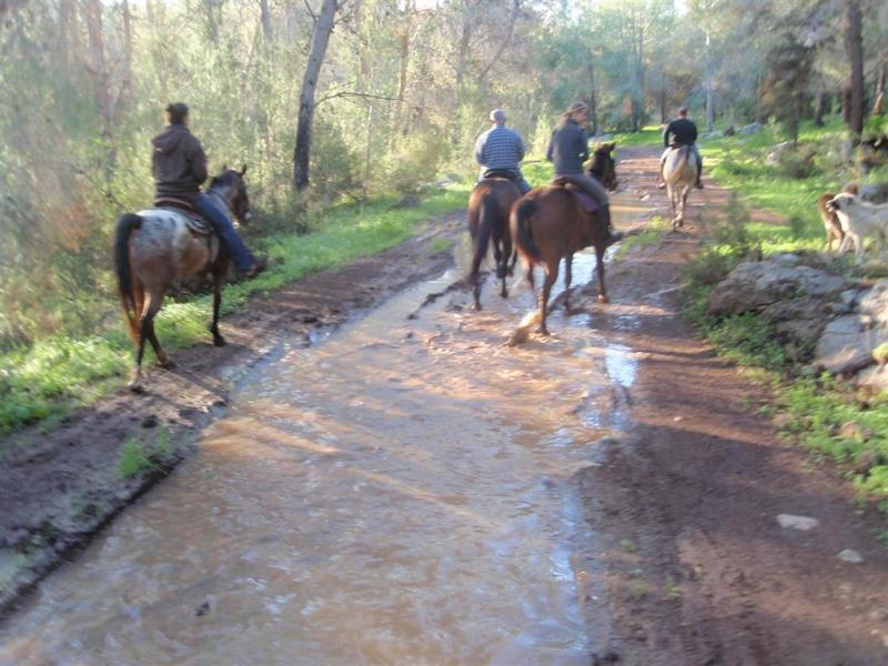 רכיבת סוסים זוגית – טיול רומנטי ביער בן שמן
