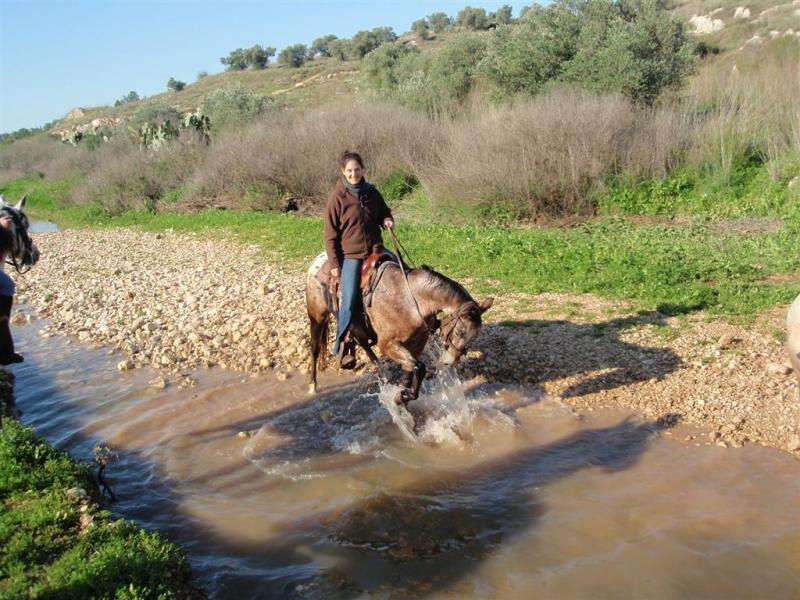 יער בן שמן – מסלולי רכיבה וטבע