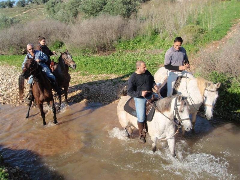 טיולי סוסים ביער בן שמן